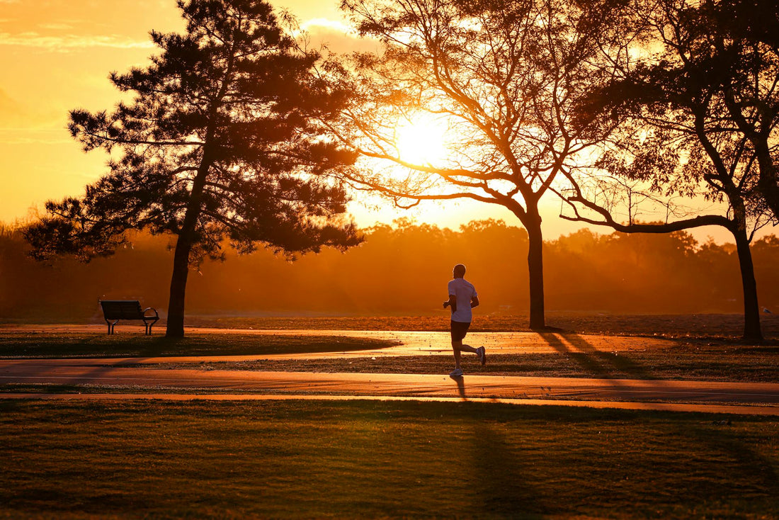 Fall Fitness Commitments: Plan, Execute, Stay Strong